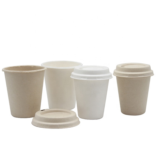Eco Friendly Biodegradable Cups Bagasse Coffee Cup With Lid  Greenssy